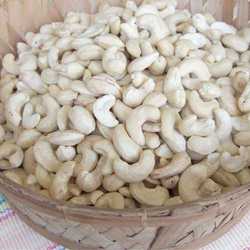 Manufacturers Exporters and Wholesale Suppliers of Cashew Nuts Mahuva Gujarat